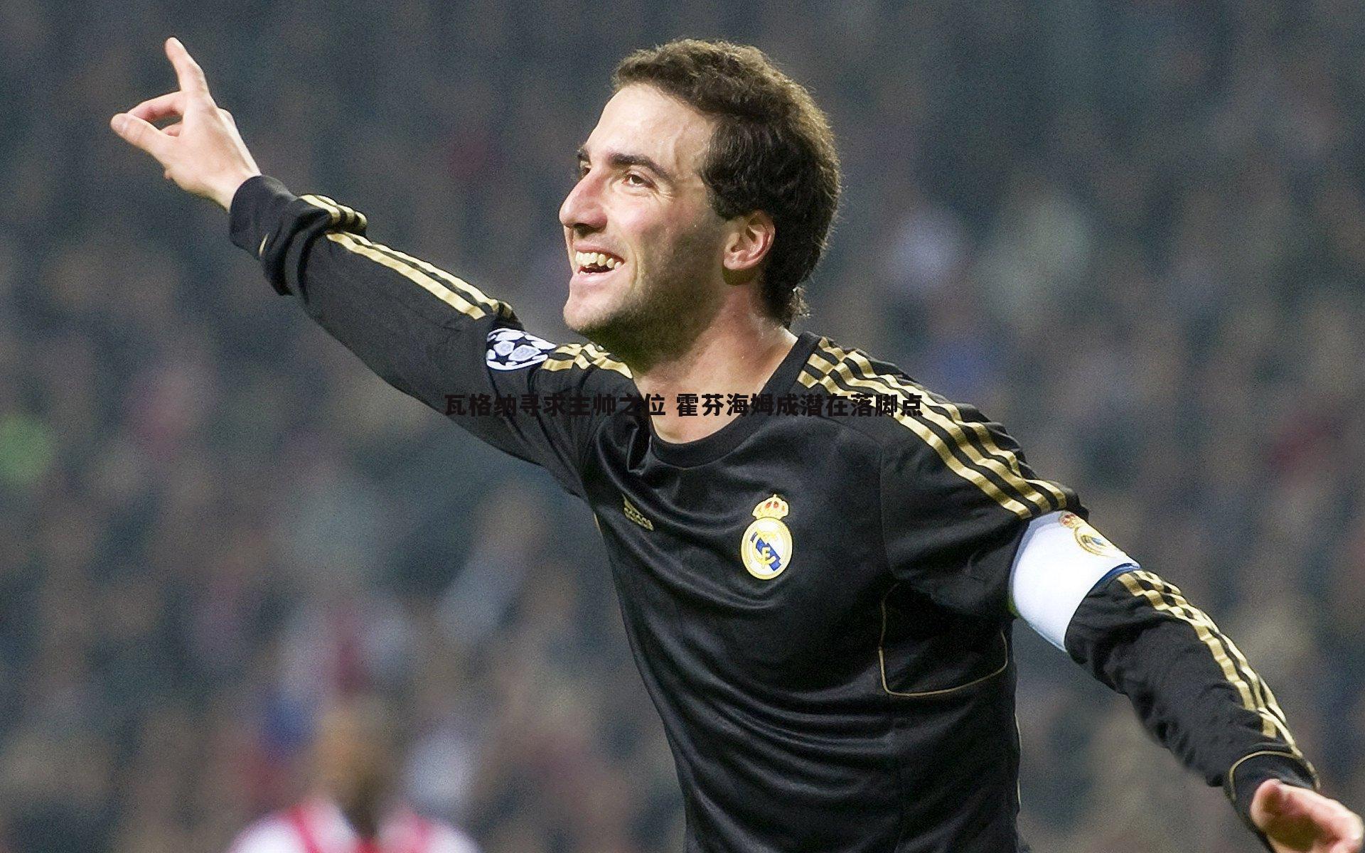 瓦格纳寻求主帅之位 霍芬海姆成潜在落脚点